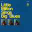 Cover Sings Big Blues