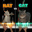 Cover Rat Dance vs Spinning Cat (PIANO BATTLE)