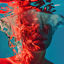 Cover Catatonic