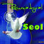 Cover Seol