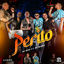 Cover Perito