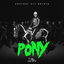 Cover Pony