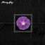 Cover Morning Glory