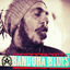 Cover Bandora Blues