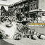 Cover Mermaid Avenue Vol. II