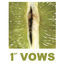 Cover 1st Vows (The Green EP)