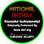 Cover National Anthem (Originally Performed By Lana Del Rey) [Instrumental Version]