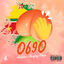 Cover 0690