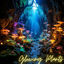Cover Glowing Plants