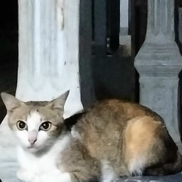 ''