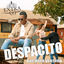 Cover Despacito (Bachata Version)
