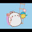 Cover MAPLE ADVENTURE