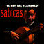 Cover El Rey Del Flamenco
