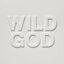 Cover Wild God