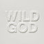 Cover Wild God