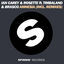 Cover Amnesia (feat. Timbaland & Brasco)