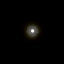 Cover Moonlight