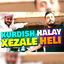 Cover Xezale Heli (Kurdish Halay)