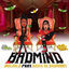 Cover Badmind