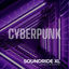 Cover Cyberpunk