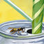 Cover bee in my soda
