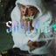 Cover Skyline