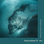 Cover Anjunadeep 14
