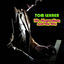 Cover Tom Lehrer - The Masochism and his hits