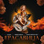 Cover Красавица