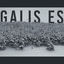Cover Galis es