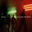 Cover Lean Into The Wind