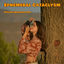 Cover Ephemeral Cataclysm