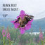 Cover EP (2014)