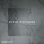 Cover Vivid Pictures