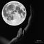 Cover Moon