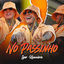 Cover No Passinho