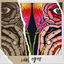 Cover Idol Eyes