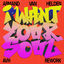 Cover I Want Your Soul (AVH Rework)