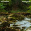 Cover Running Water