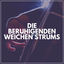 Cover Die beruhigenden weichen Strums