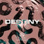 Cover Destiny (feat. Puto X)