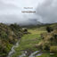 Cover Topinambur EP