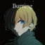 Cover Burning