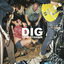 Cover DIG