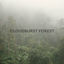 Cover Cloudburst Forest Rain