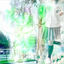 Cover 8888EACH DIVINITY