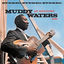 Cover Muddy Waters At Newport 1960