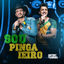 Cover Sou Pingaieiro