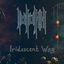 Cover Iridescent Way