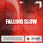 Cover Falling Slow